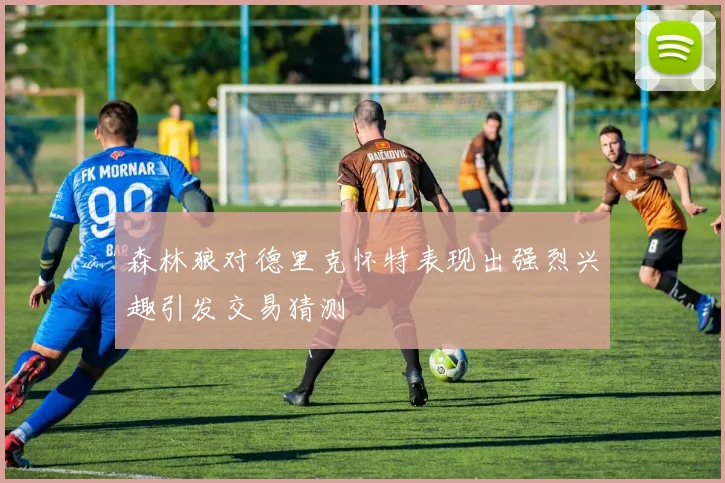 森林狼对德里克怀特表现出强烈兴趣引发交易猜测