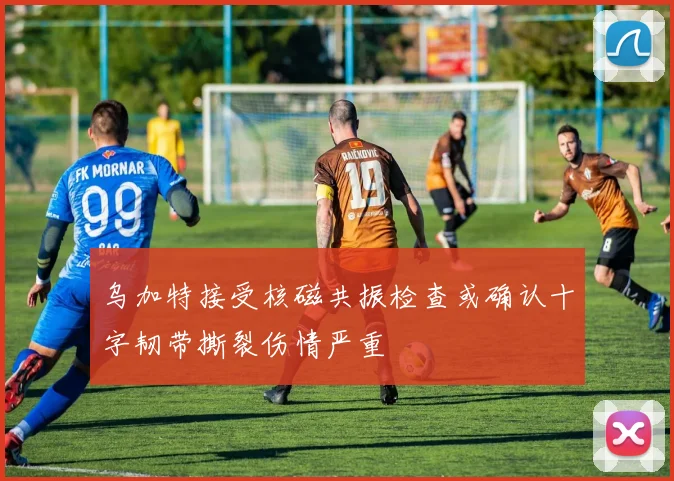 乌加特接受核磁共振检查或确认十字韧带撕裂伤情严重